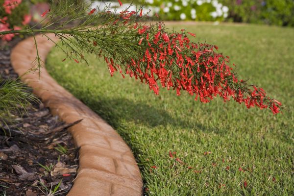Brick Edging in Collierville