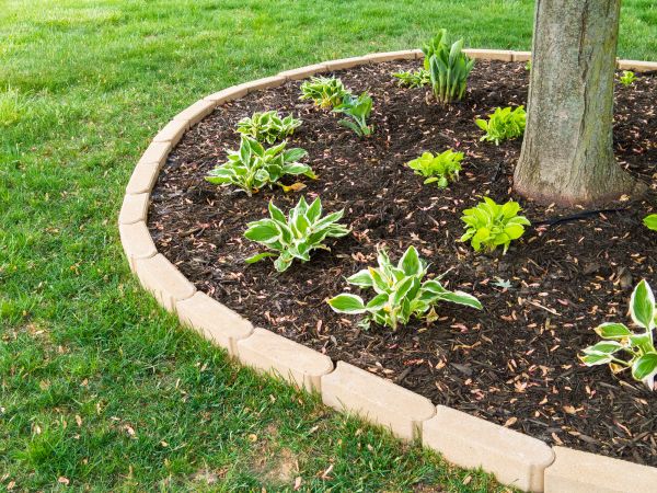 Stone Border Installation in Collierville