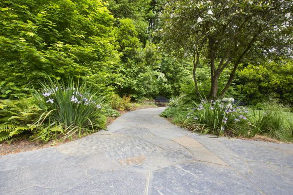 Stone Hardscape Service in Collierville