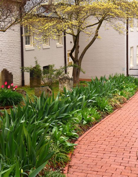 Brick Flatwork Repair in Collierville
